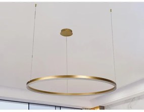 LED dimmelhető csillár zsinóron LED/55W/230V 3000-6500K + távirányítás