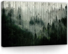 Vászonkép 60x40 Ködös erdő misztikum természet nyugalom mélység tűlevelű fák