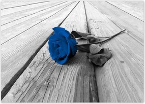 Poszterek 70x50 Kék rózsa a hídon