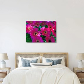 Kép - virágok (üvegen) (70x50 cm)