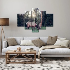 Kép - Jávorszárvas a tisztáson (150x105 cm)