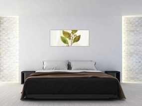 Kép - Akvarell ág N⁰1 (120x50 cm)