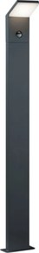 TRIO 421169142 PEARL Modern Kültéri Állólámpa Antracit LED IP44