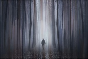 Flizelina fotótapéta Nappaliba és Hálószobába Erdei csend 104x70 Ragasztó