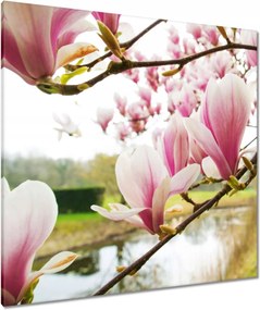 Vászonkép 90x90 Magnólia Budapest Virág