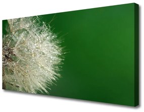 Canvas kép pitypang növény 120x60 cm