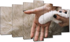 Képek 140x80 Cica Cicák