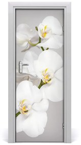 Ajtó tapéta fehér orchidea 85x205 cm