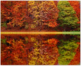 Poszterek 50x40 Őszi táj