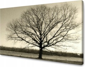 Vászonkép Sötét fekete fa Szomorúság 90x60 cm Ideális ajándék