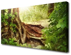 Vászonfotó Fatörzs-erdő Természetvédelmi 100x50 cm