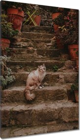 Vászonkép 80x120 Cica