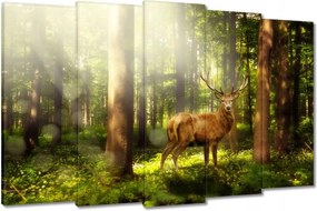 Képek 150x95 Szarvas a varázslatos erdőben