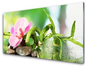Akril üveg kép Bamboo Stem növény természet 125x50 cm