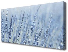 Canvas kép Virág Meadow Nature Ears 100x50 cm