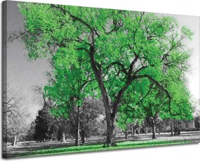 Vászonkép Fekete fák Zöld levelek Művészet 120x80 cm