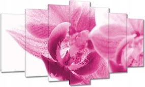 Vászonkép 140x80 Orchidea Virágok