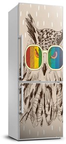 Hűtő matrica Baglyok szemüveg FridgeStick-70x190-f-120069226