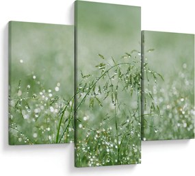Kép - Harmat a fűben (90x60 cm)