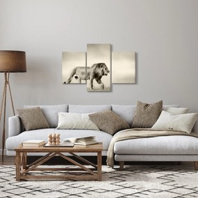 Kép - Az éhes oroszlán (90x60 cm)