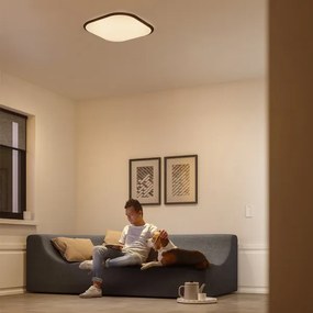 Philips 32810/31/P0 - LED Dimmelhető mennyezeti lámpa CANAVAL LED/18W/230V