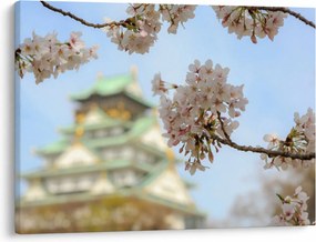 Kép - Sakura (70x50 cm)