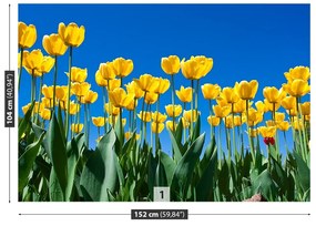 Fotótapéta tulipán virágok 104x70 cm
