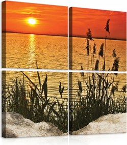 Vászonkép 50x50 Naplemente víztározó nád természet nyugalom harmónia