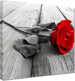 Vászonkép 90x90 Rózsa a hídon