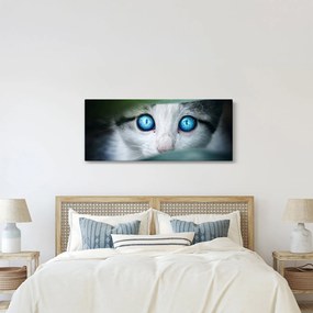Macska képe (120x50 cm)