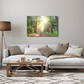 Egy ösvény képe az erdőben (90x60 cm)