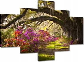 Vászonkép 100x70 Tölgyfa sikátor