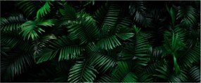 Kép - trópusi páfrány (120x50 cm)