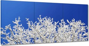 Képek 180x90 Téli fa Szron Hó