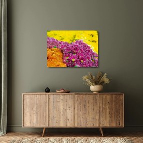Rózsaszín virág képe (üvegen) (70x50 cm)