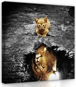 Vászonkép 80x80 Cica Oroszlán tükör lélek potenciál erő természet állatok
