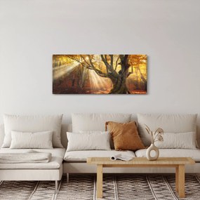 Kép - Őszi fény (120x50 cm)