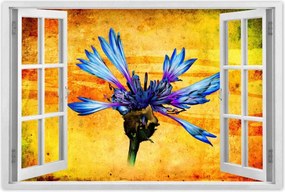 Poszterek 60x40 Chaber