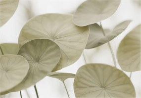 Fotótapéta Fali tapéta Hálószoba Nappali Természetes elegancia 208x146