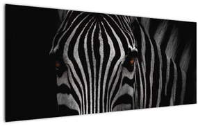 Zebra képe (120x50 cm)