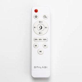 Brilagi - LED fényerőszabályozható mennyezeti lámpa PINE LED/60W/230V + távirányítóval