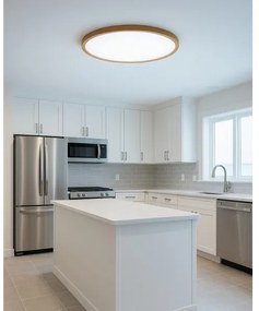 LED mennyezeti lámpa LED/32W/230V 3000/4000/6500K átm. 40 cm bézs