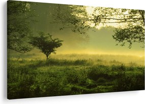 Kép - Ébredő erdő (90x60 cm)