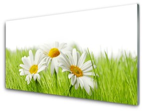 Üvegkép Daisy Flowers Plant 100x50 cm 4 fogas