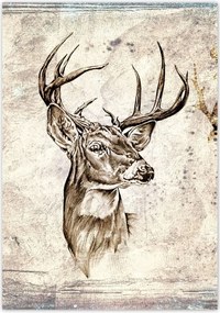 Poszterek 70x100 Szarvas agancsok