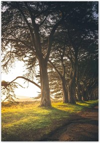 Poszterek 70x100 Tájkép Látvány