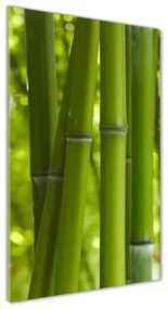 Egyedi üvegkép Bambusz erdő osv-24255297