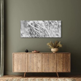 Kép - Havas ágak (120x50 cm)