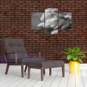 Kép - nyúlfarknyi fű az asztalon (90x60 cm)