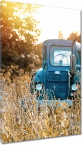 Vászonkép 80x120 Antik traktor a réten